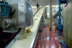 Food Quality Conveyor Belt
