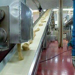 Food Quality Conveyor Belt