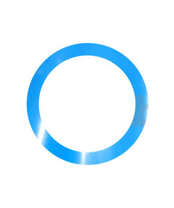 Blue Gasket