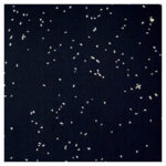 Black Speckles DuraFlor Multipurpose Floor Covering