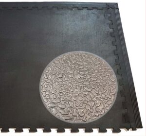 Amoebic Gym Crossfit Linkable Rubber Mats